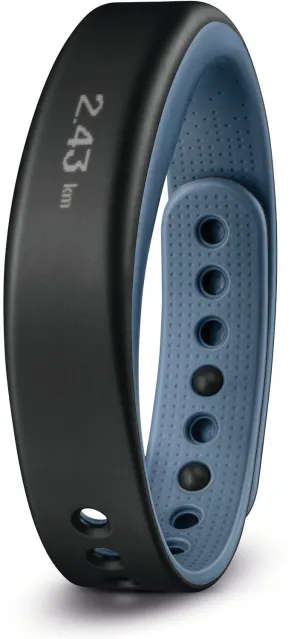 Garmin Watch Vivosmart Blue Large