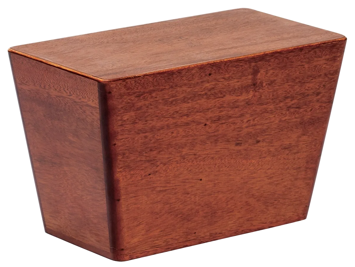 Gon Bops Bongo Cajon with Carrying Bag