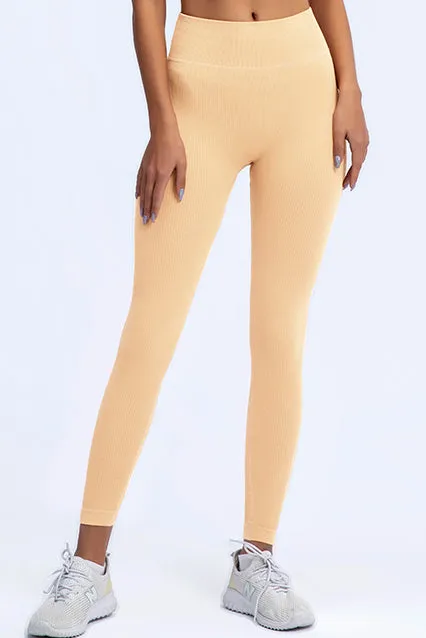 Hawaii Seamless Tights