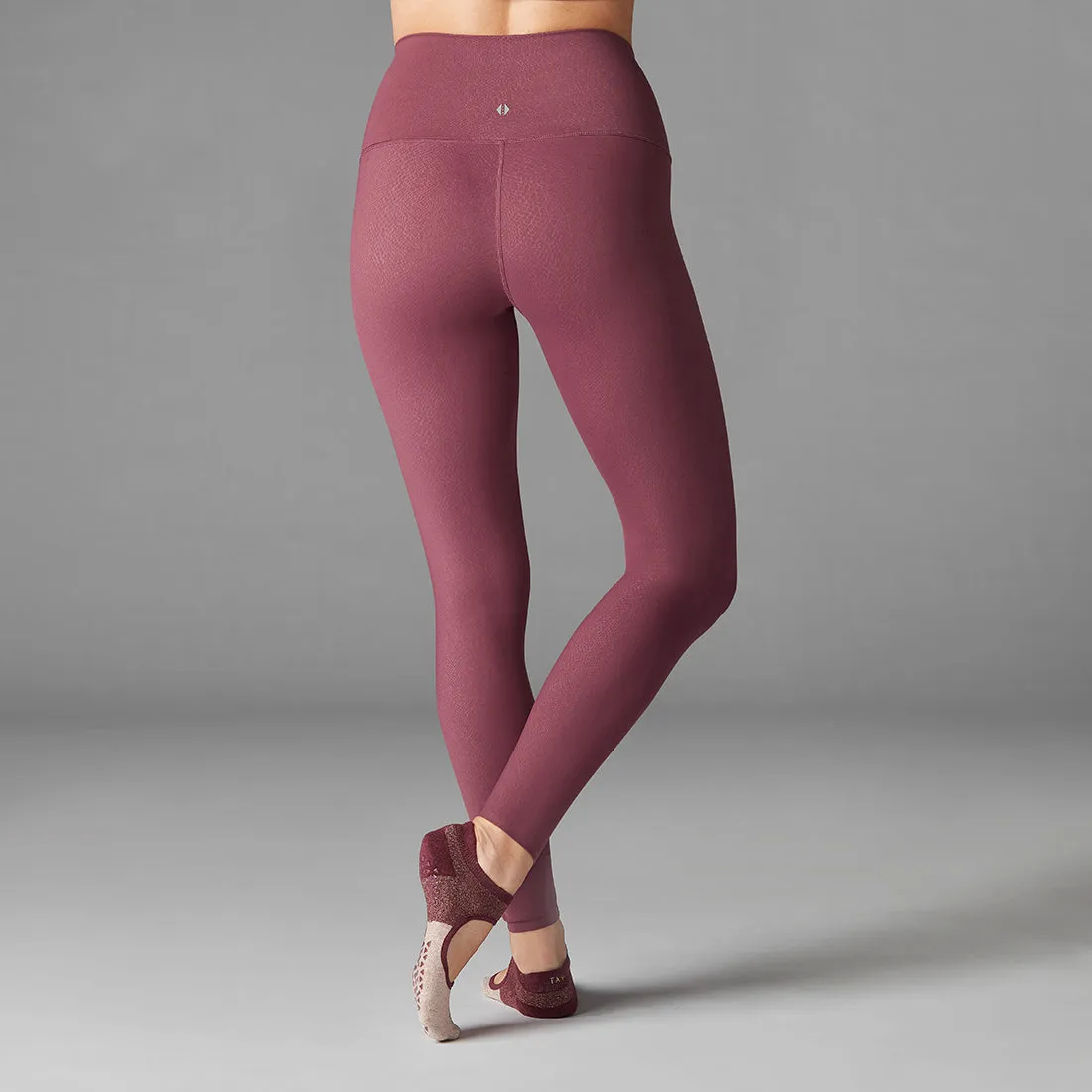 High Waisted Tight - On Sale Colours