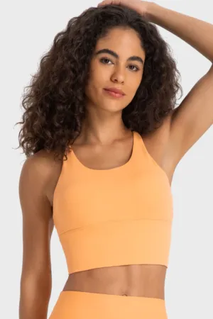 Luna Crisscross Back Ladder Detail Sports Bra