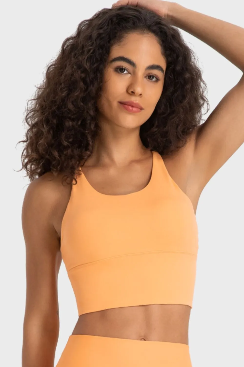 Luna Crisscross Back Ladder Detail Sports Bra