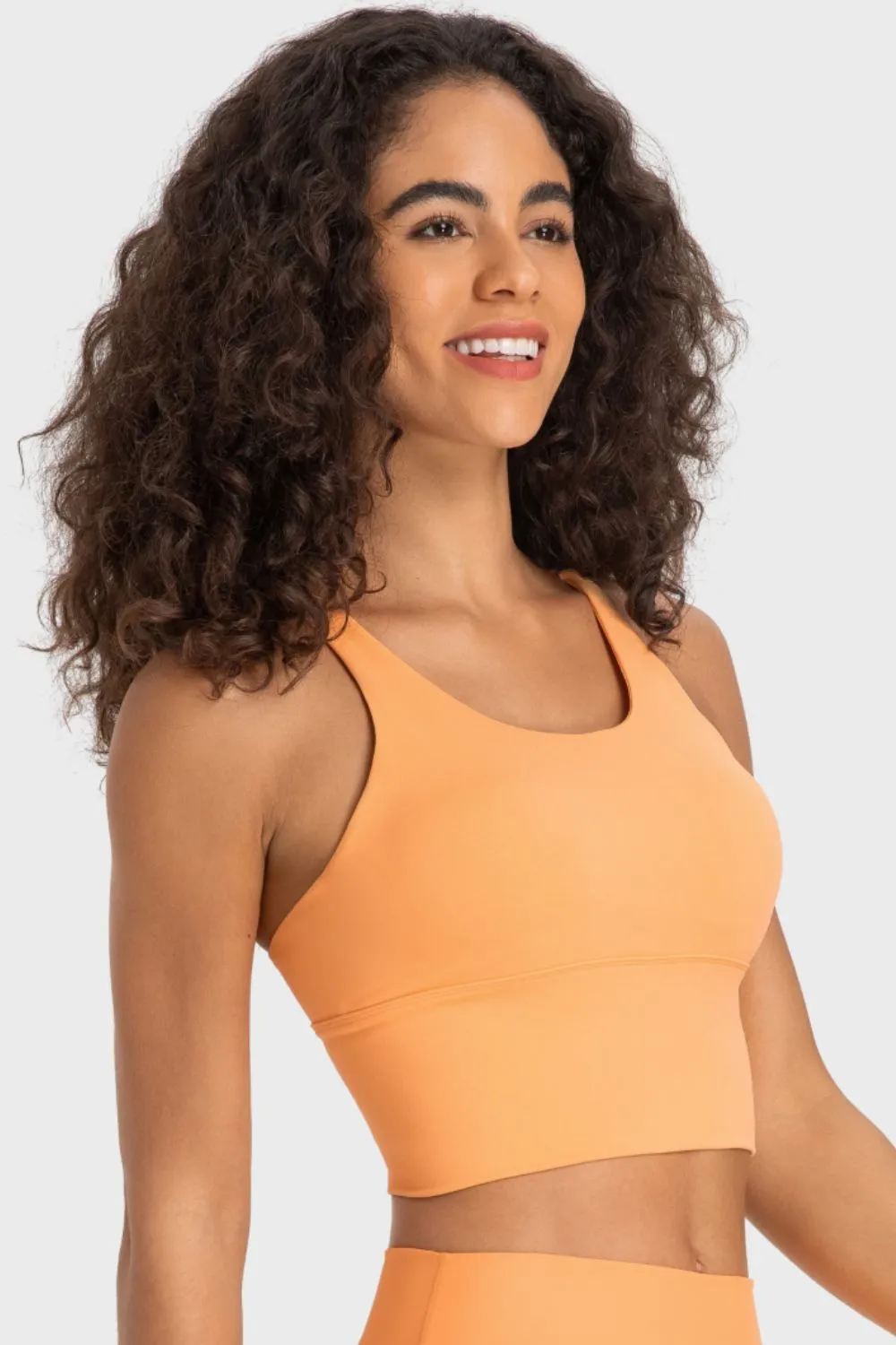 Luna Crisscross Back Ladder Detail Sports Bra