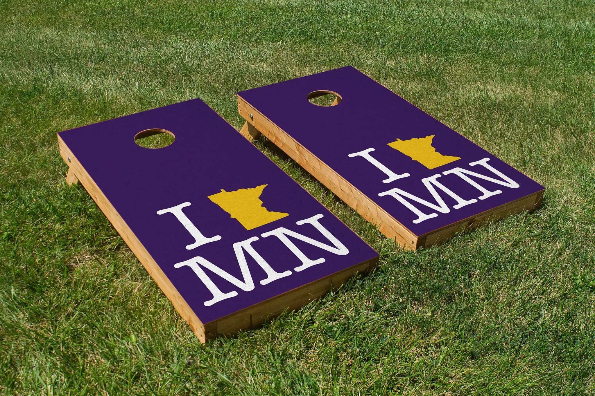 Minnesota Vikings Pride