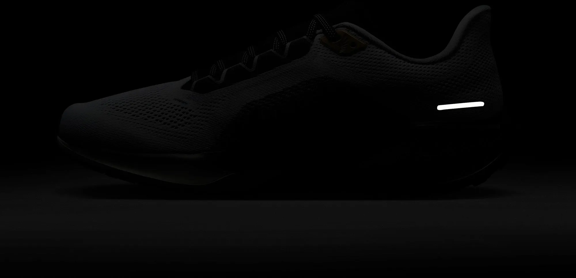 Pegasus 41 Prm Road Running hardloopschoenen
