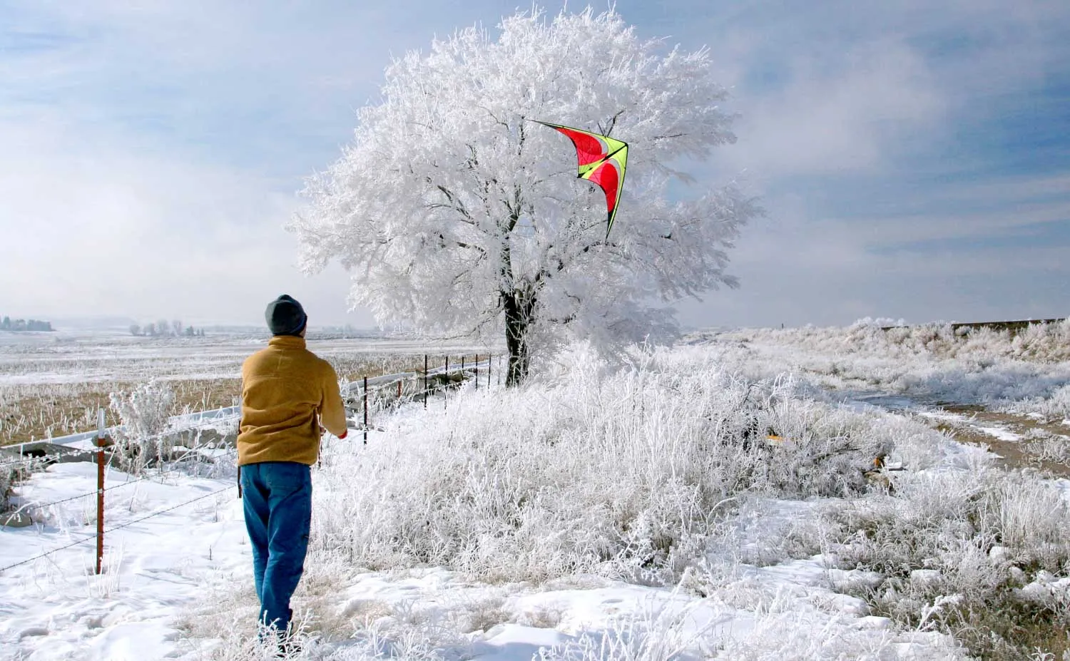 Prism Kite Technology - Quantum Sport Kite 2.0