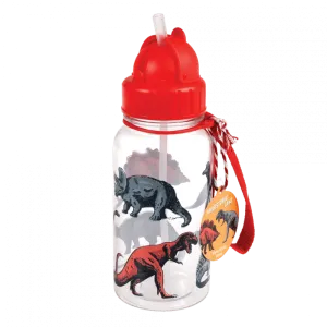 Water Bottle - Prehistoric Land